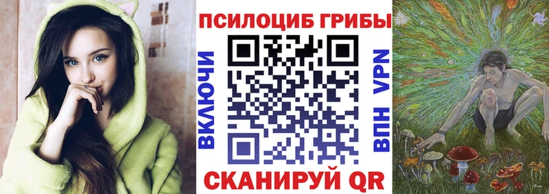 как найти закладки  Таруса  Псилоцибиновые грибы прущие грибы 